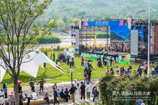 犇牛聚财 第九届国际月季大会游玩全攻略：购票指南、交通路线及精彩活动一览