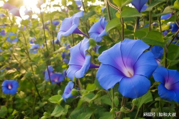 领域国际 不花钱、哄自己开心的方式，就这5种