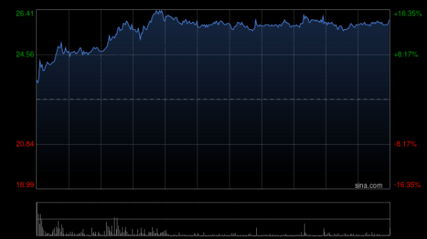 股E融 花旗：升德昌电机控股目标价至29港元 纳入行业首选