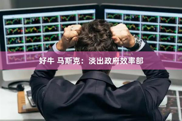 好牛 马斯克：淡出政府效率部