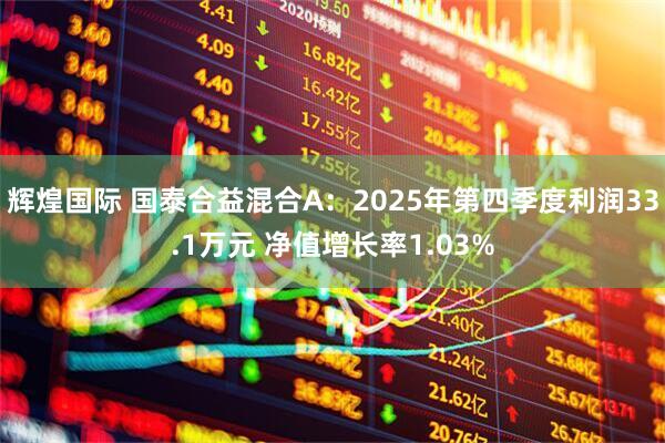 辉煌国际 国泰合益混合A：2025年第四季度利润33.1万元 净值增长率1.03%